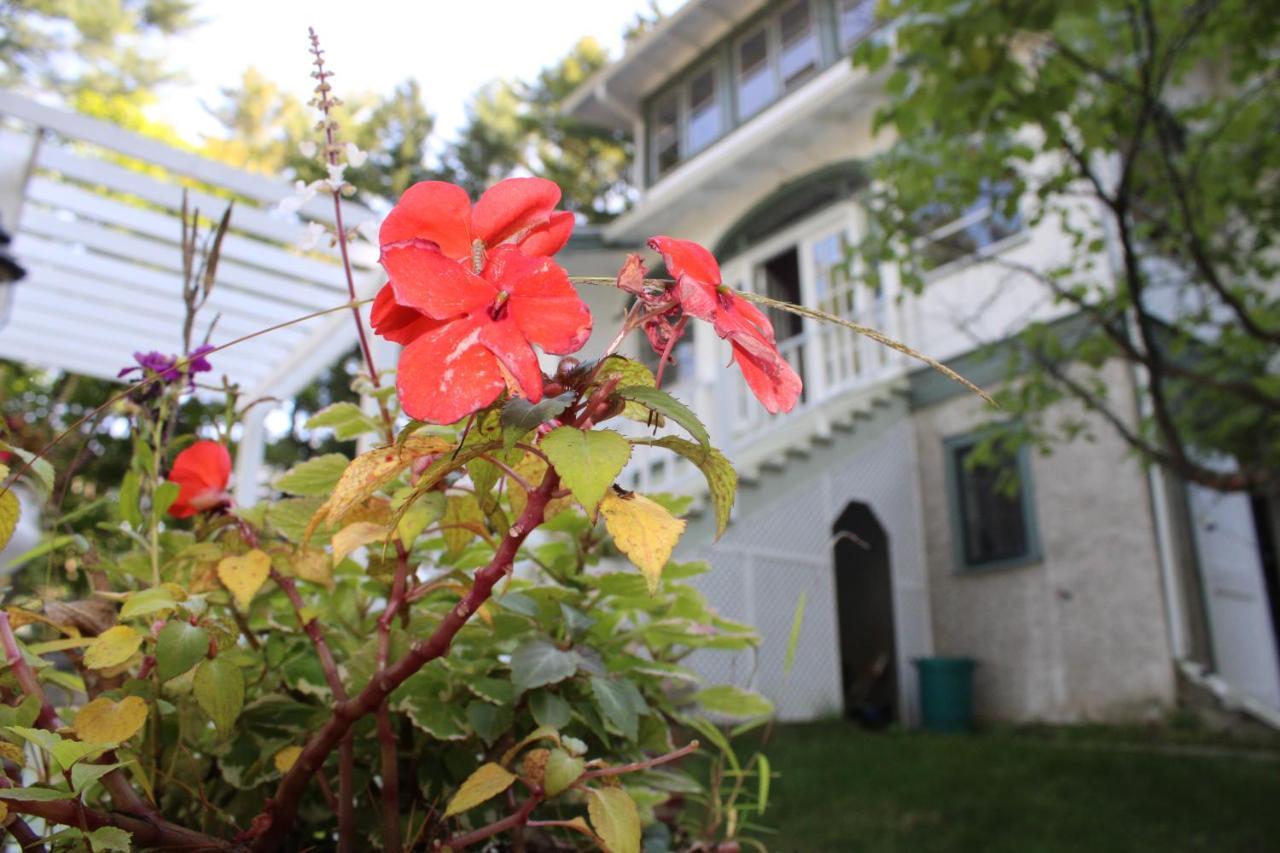The Hillside B&B. Home W/ Breakfast Service! Wisconsin Dells Exterior foto